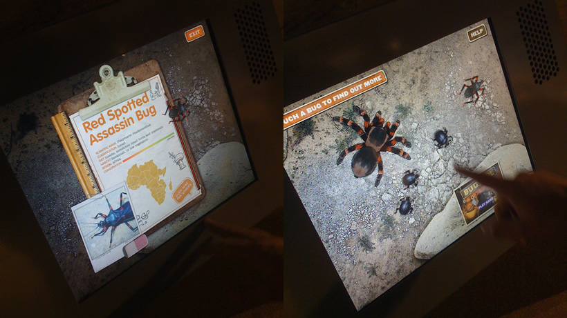 BugWorld Experience