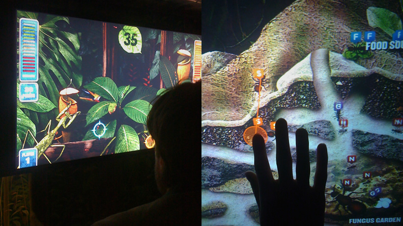 BugWorld Experience